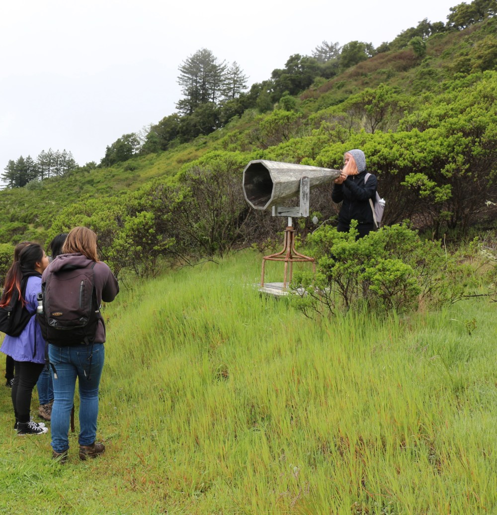Neurodiversity Advocacy & Workshop